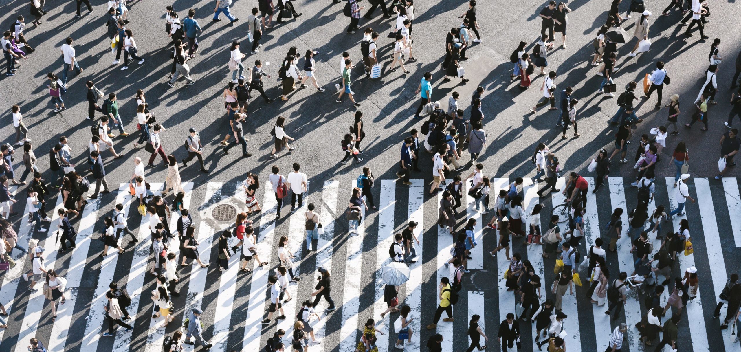 aerial view of people walking on raod