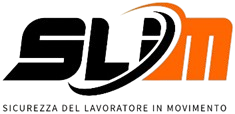 Logo SLIM